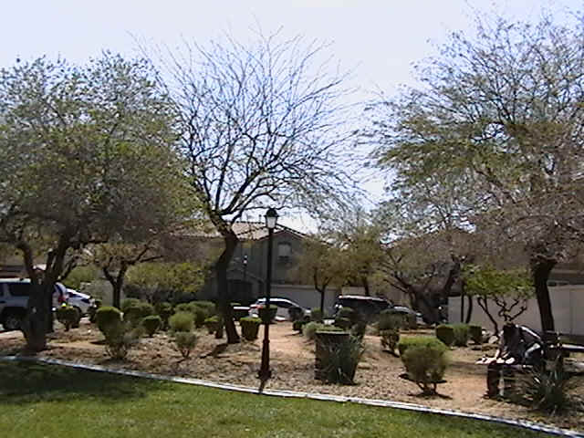 imga0803.jpg (112413 bytes)