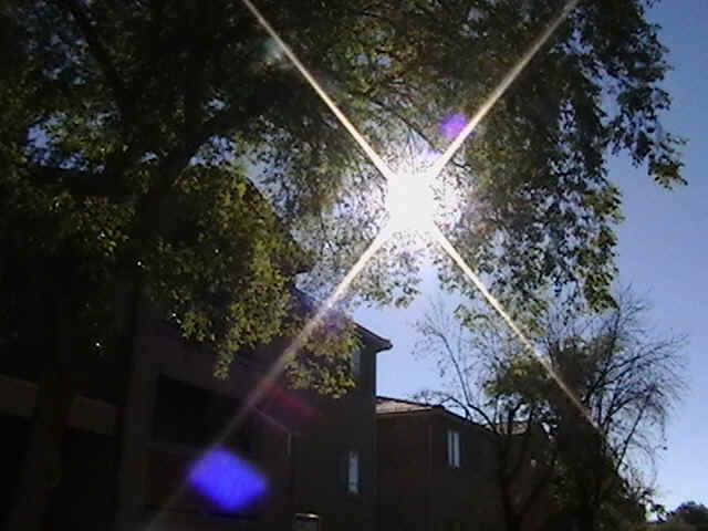 imga0811.jpg (113441 bytes)